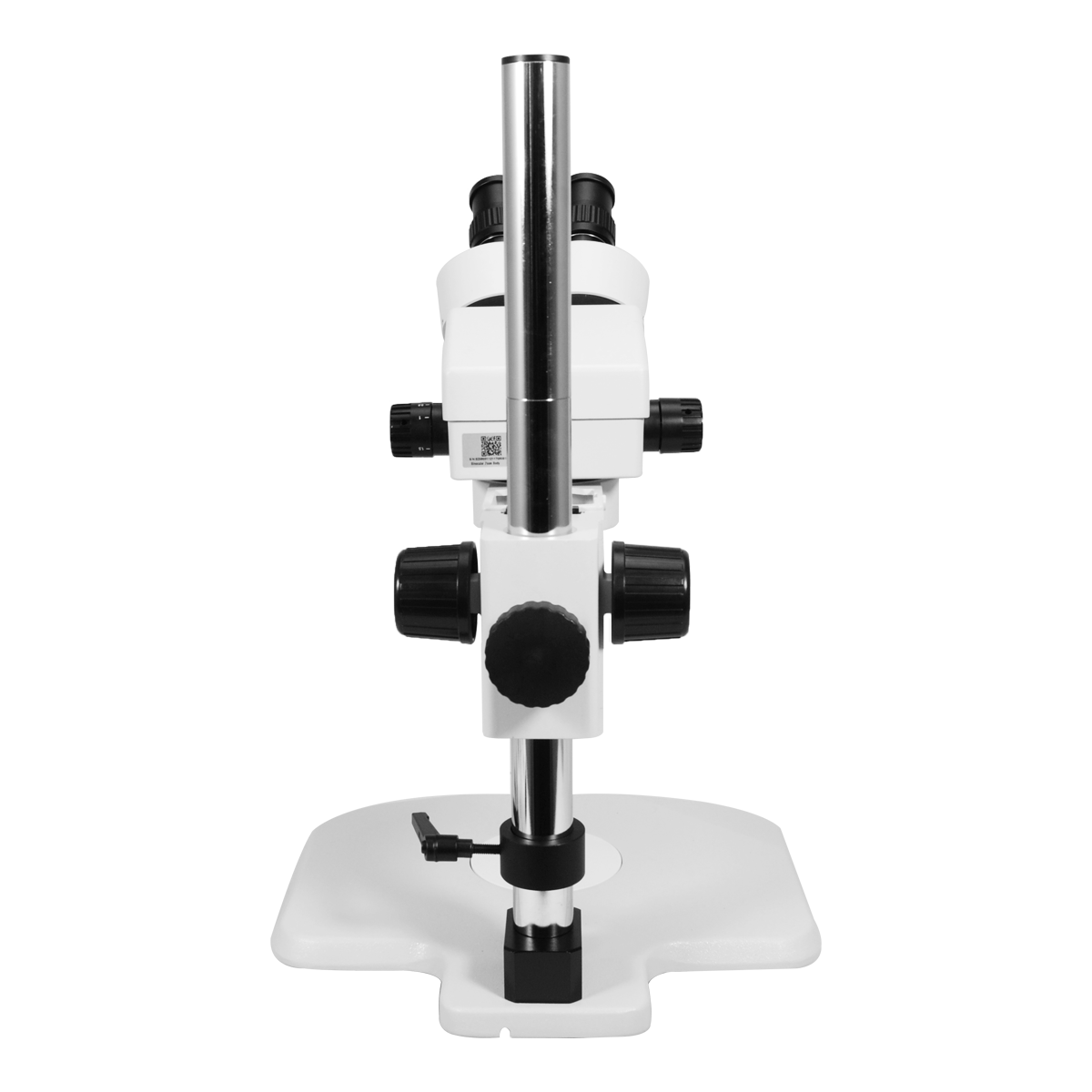 Stereo Microscope